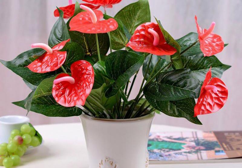 So sánh trực quan giữa bông hồng Ecuador đỏ và bông hồng đỏ Đà Lạt, làm nổi bật sự khác biệt về kích thước và hình dáng